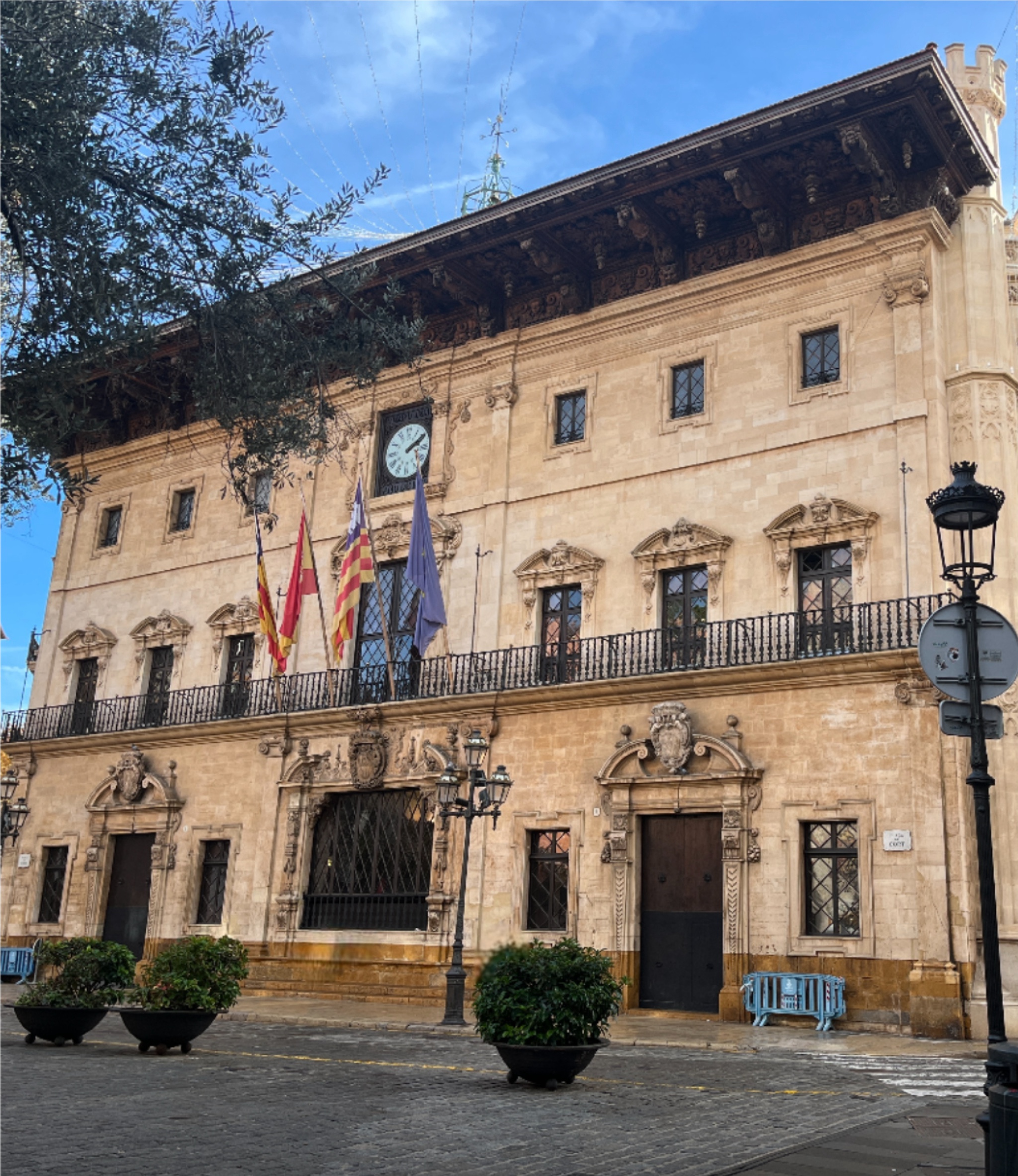 Anonymised case visual